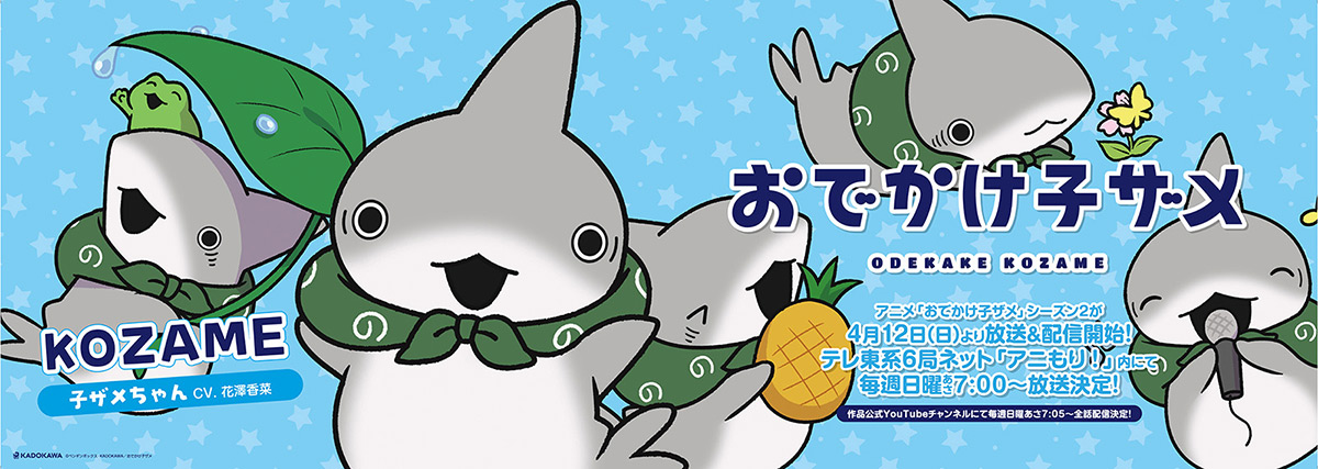 中央・総武線各駅停車 中づりジャック