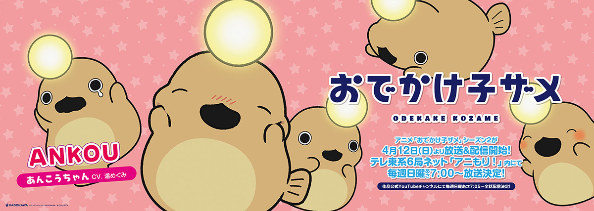 中央・総武線各駅停車 中づりジャック