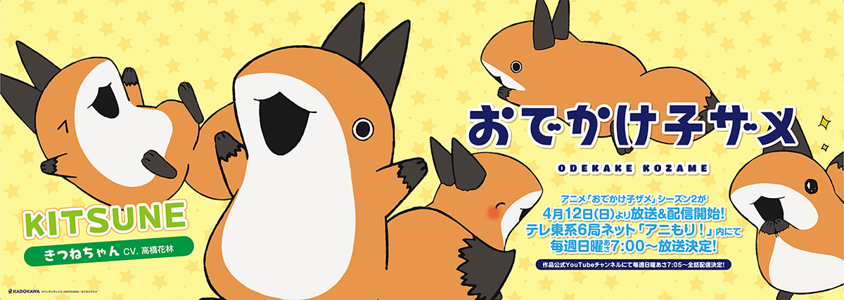 中央・総武線各駅停車 中づりジャック