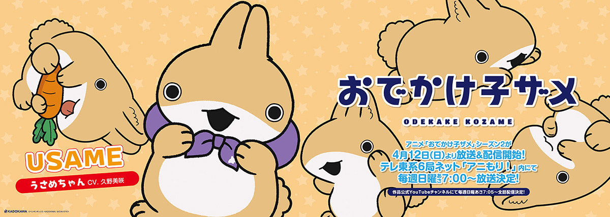 中央・総武線各駅停車 中づりジャック