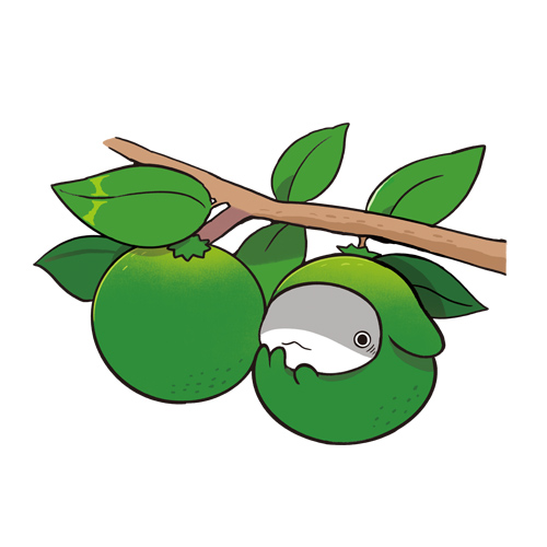 大分